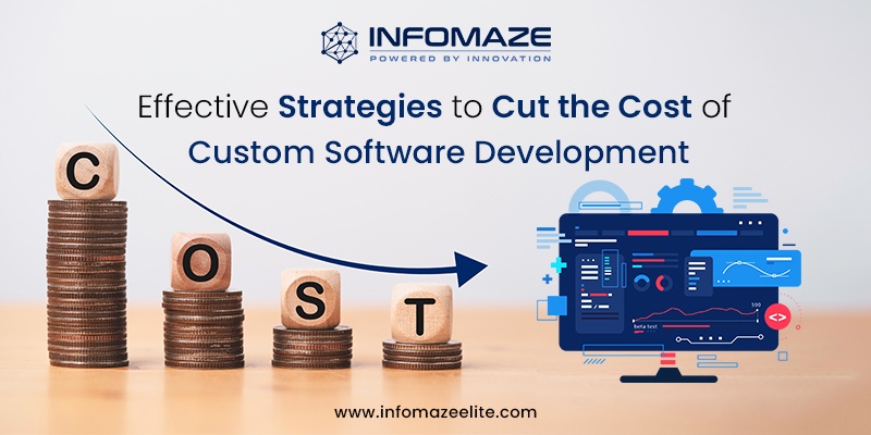 Strategies to Cut the Cost of Custom Software Development